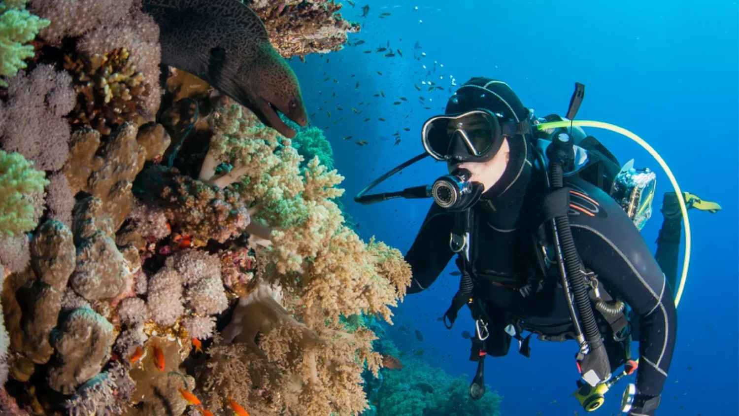 Scuba Diving