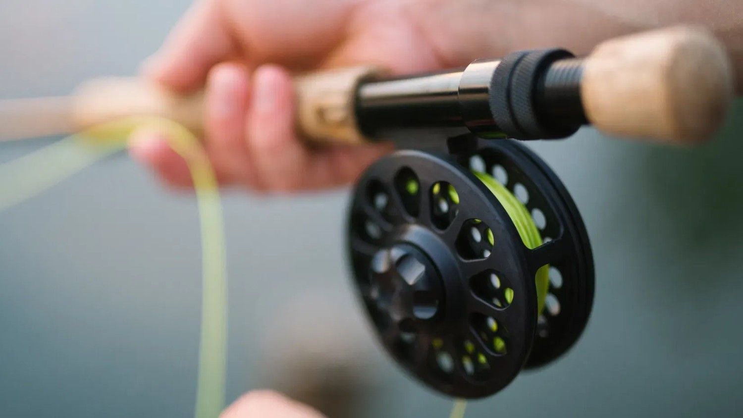 Discover Game Fishing