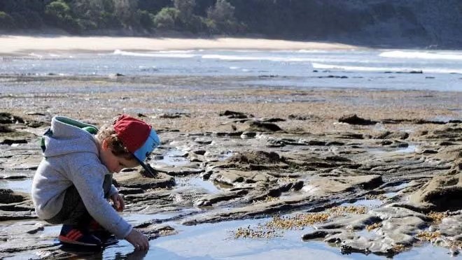 Inter-tidal Walk