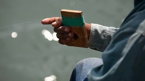 Shoreline Fishing