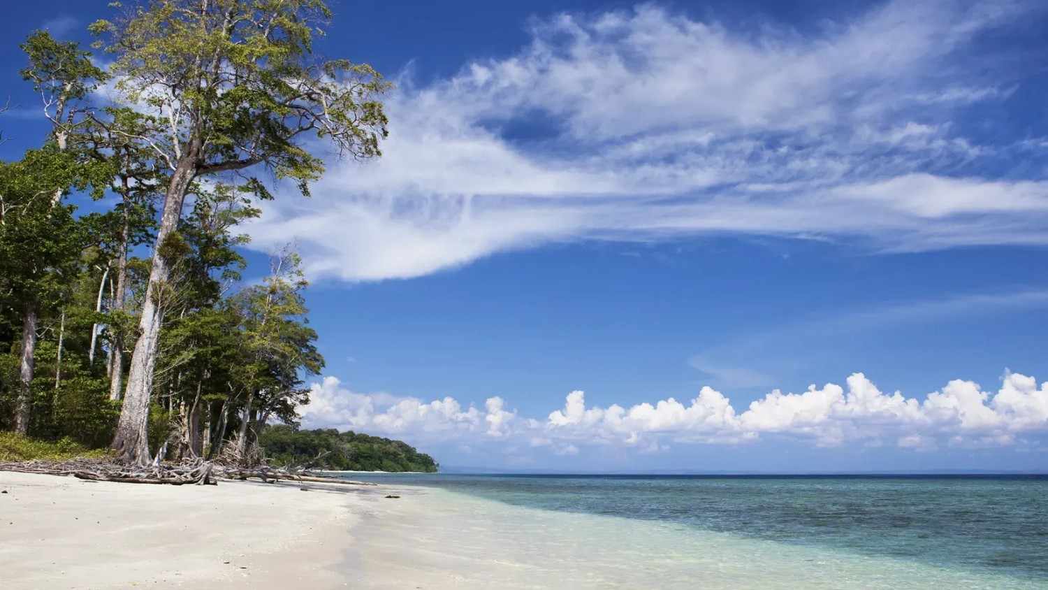 Elephant Beach Trek