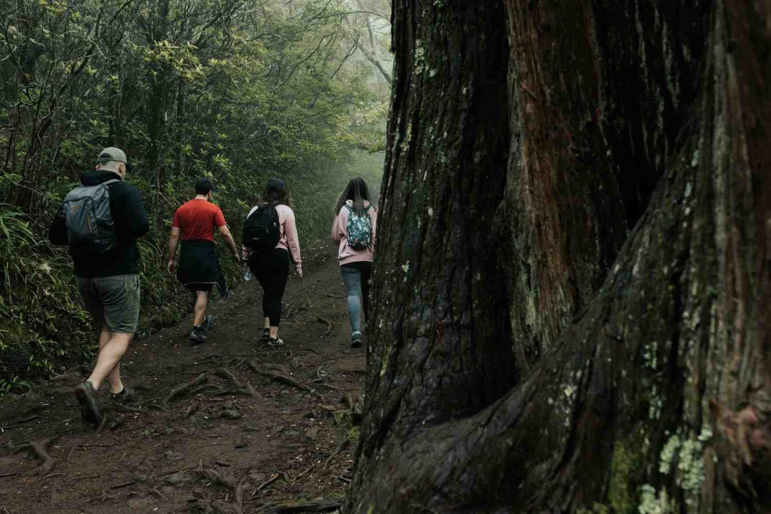Environment