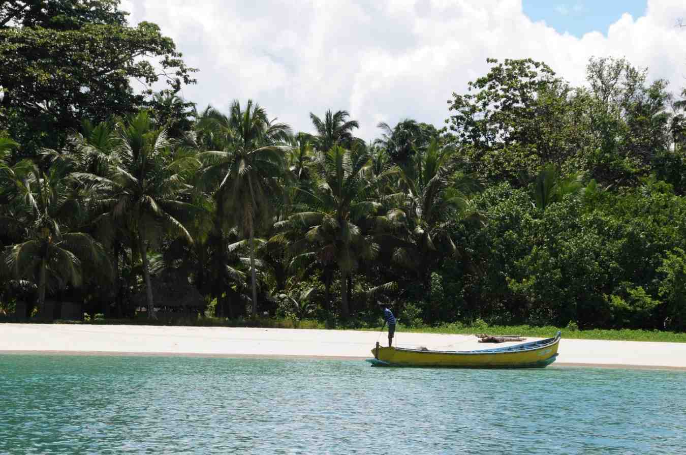Dew Dale Resort — tropical surroundings
