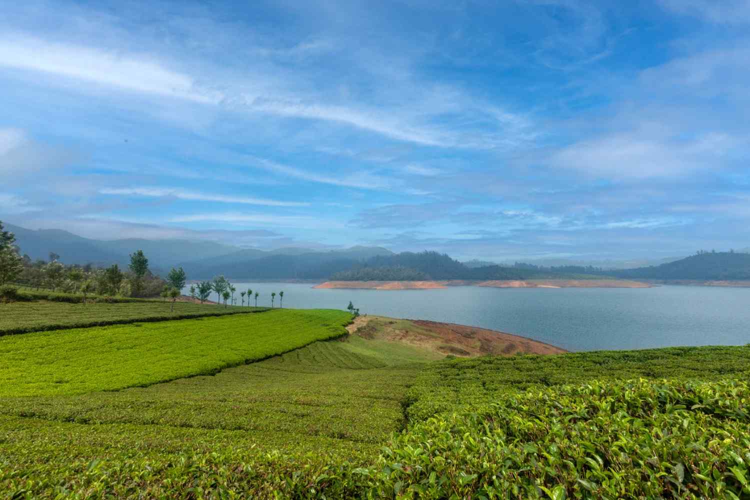 Emerald, Ooty