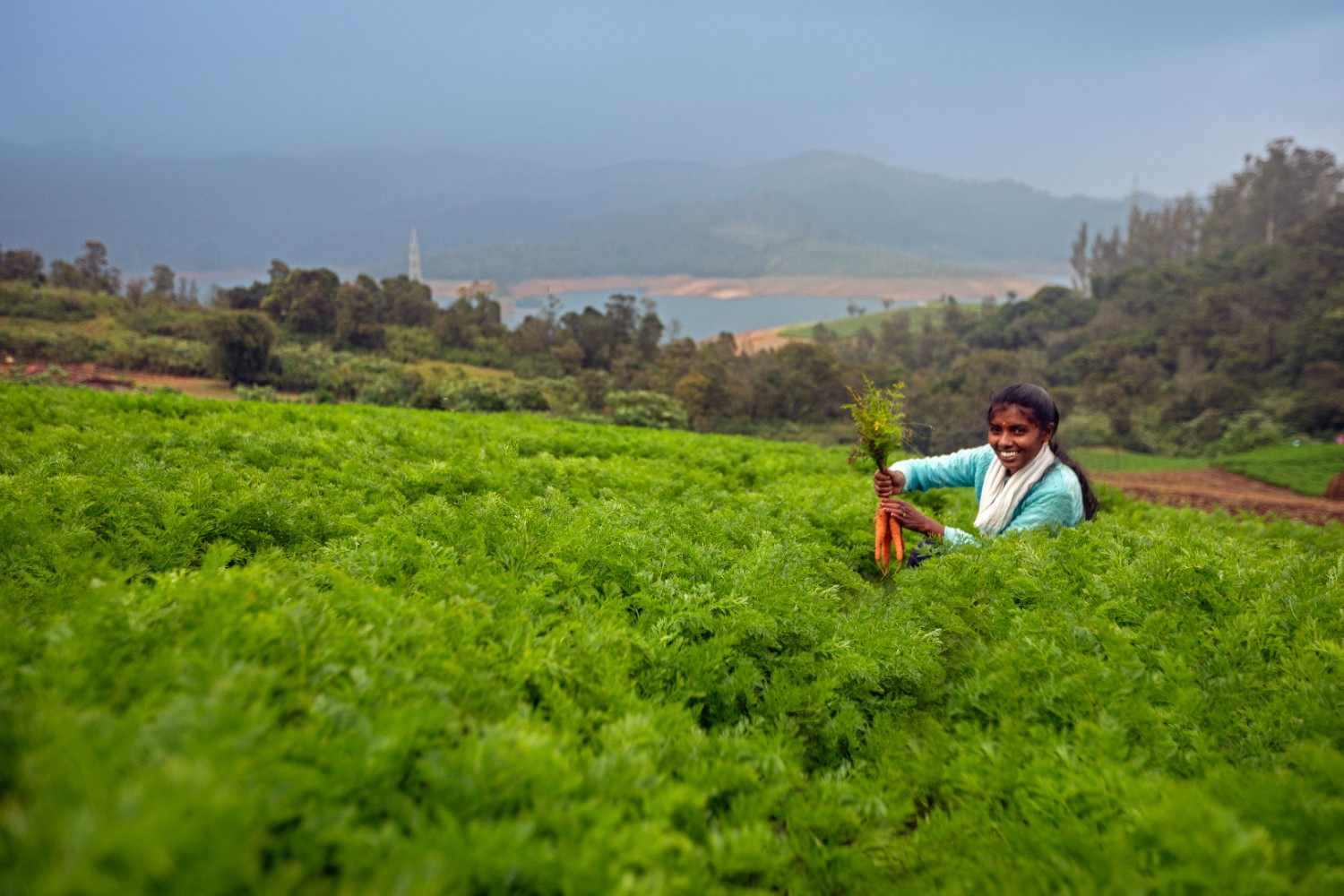 Emerald, Ooty