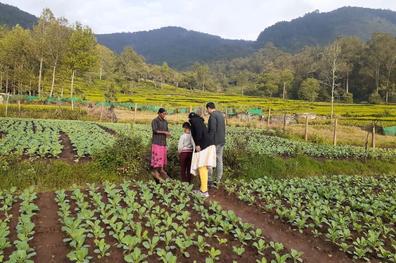Farming