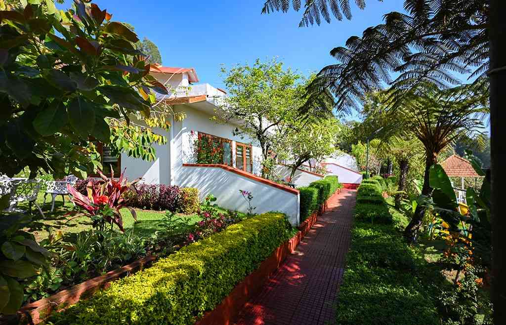 Resort amenities and recreation