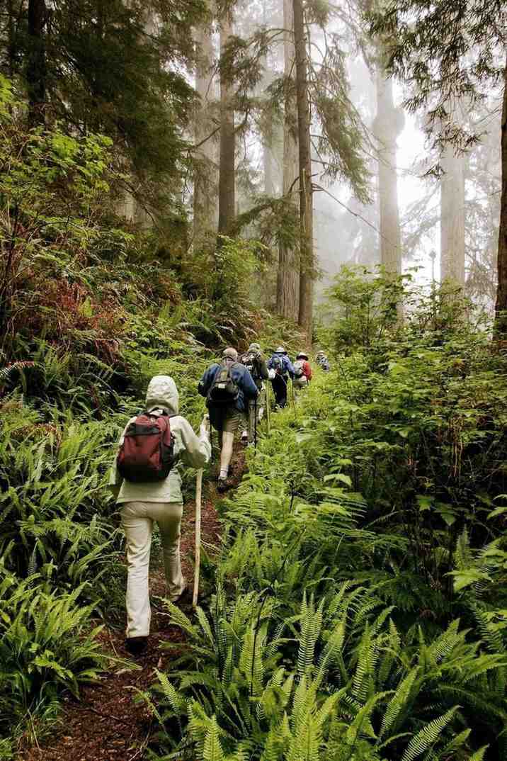 Trekking