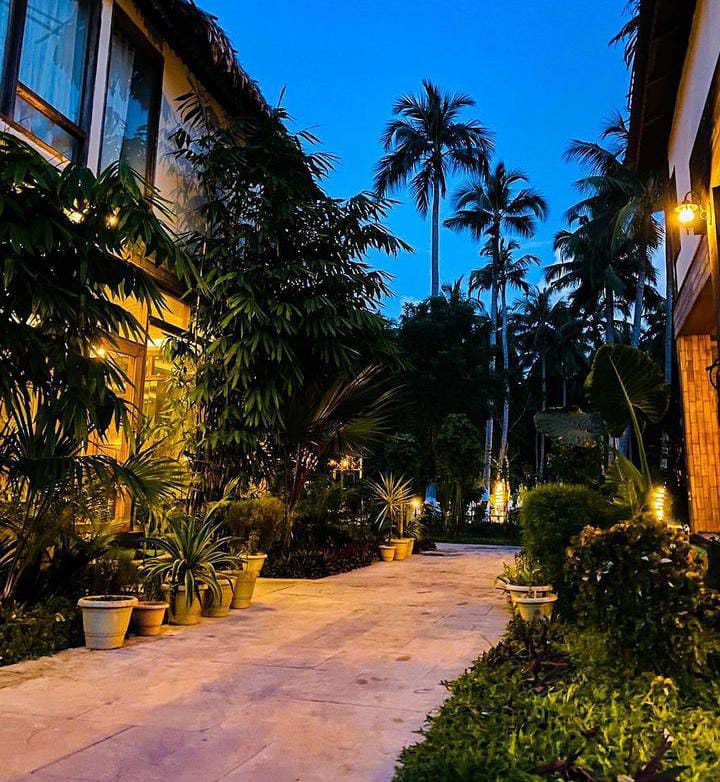 Ocean Tree — resort views