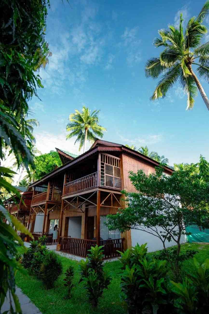 Ocean Tree — leisure spaces