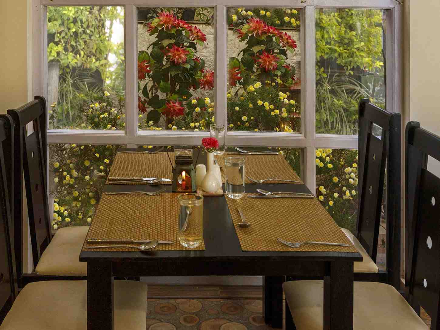 Rosewood, Ooty