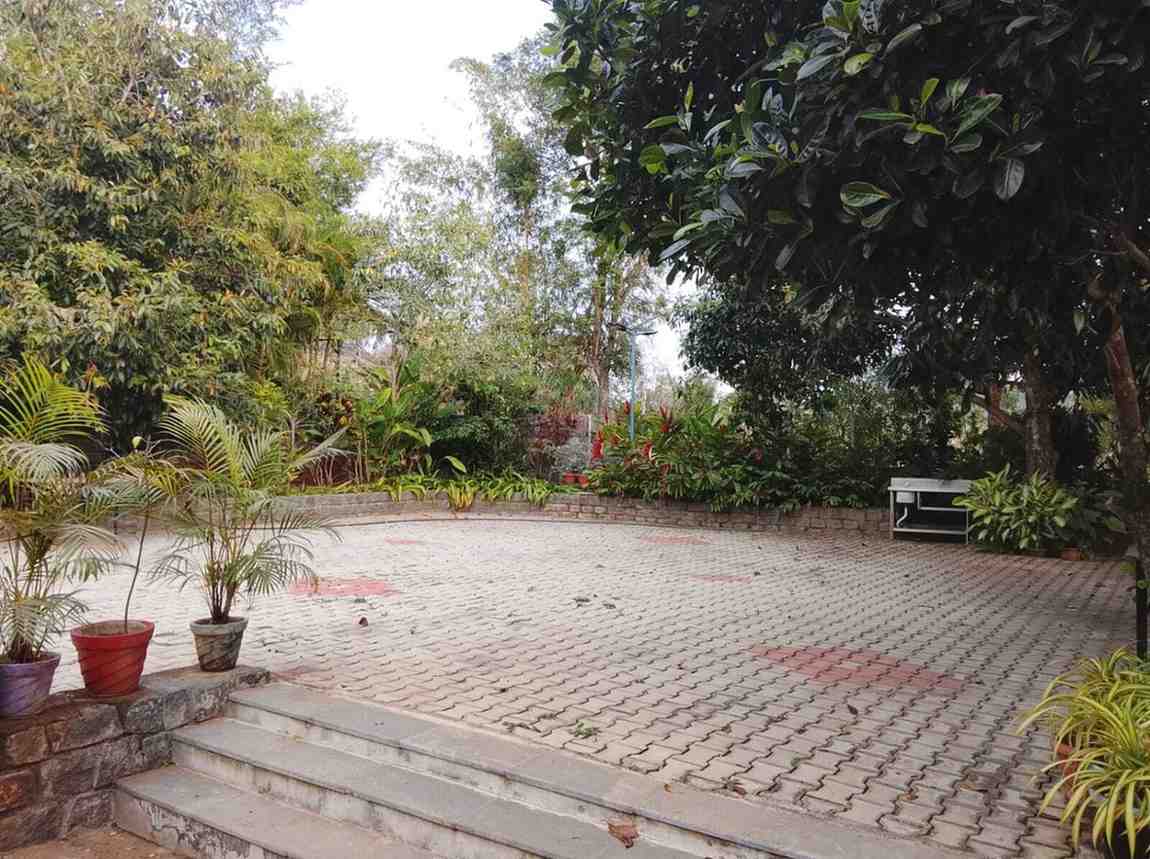 Greenery