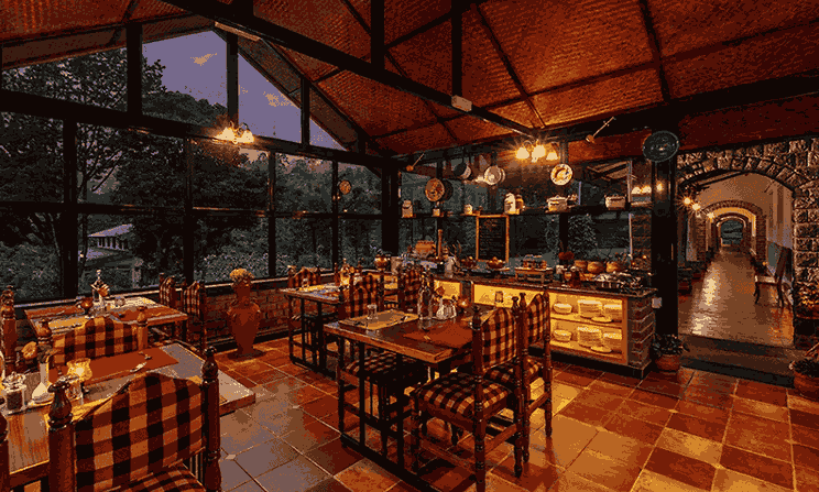 Teanest, tea-themed stay in the Nilgiris