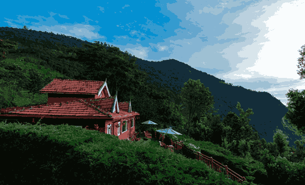 Teanest Annexe, Nilgiris tea estate
