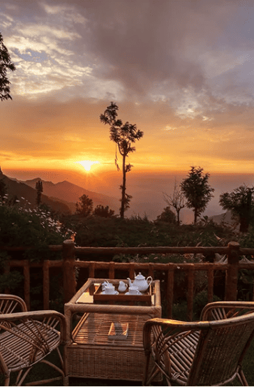 Teanest Annexe, Nilgiris tea estate