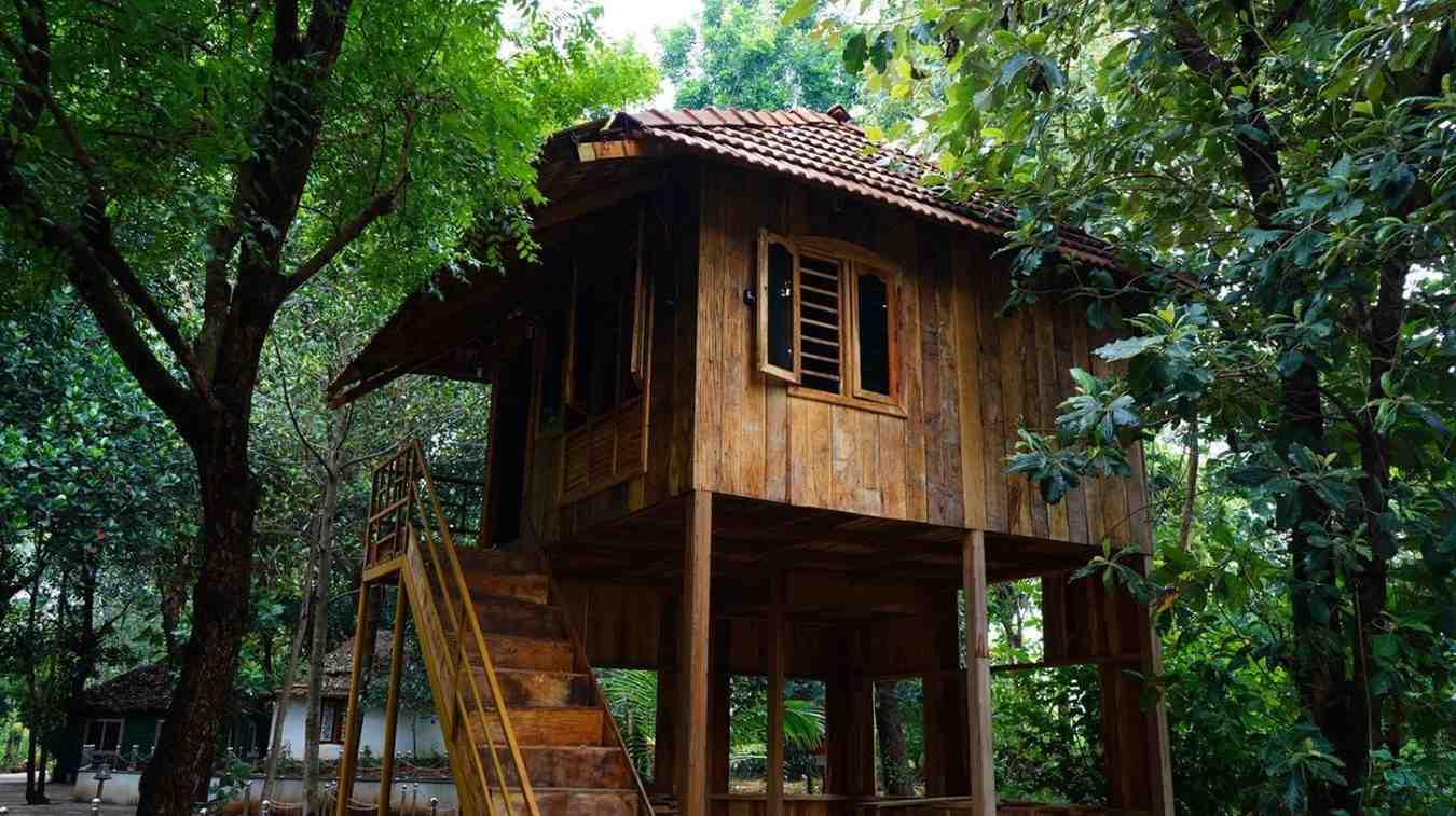 Wooden House