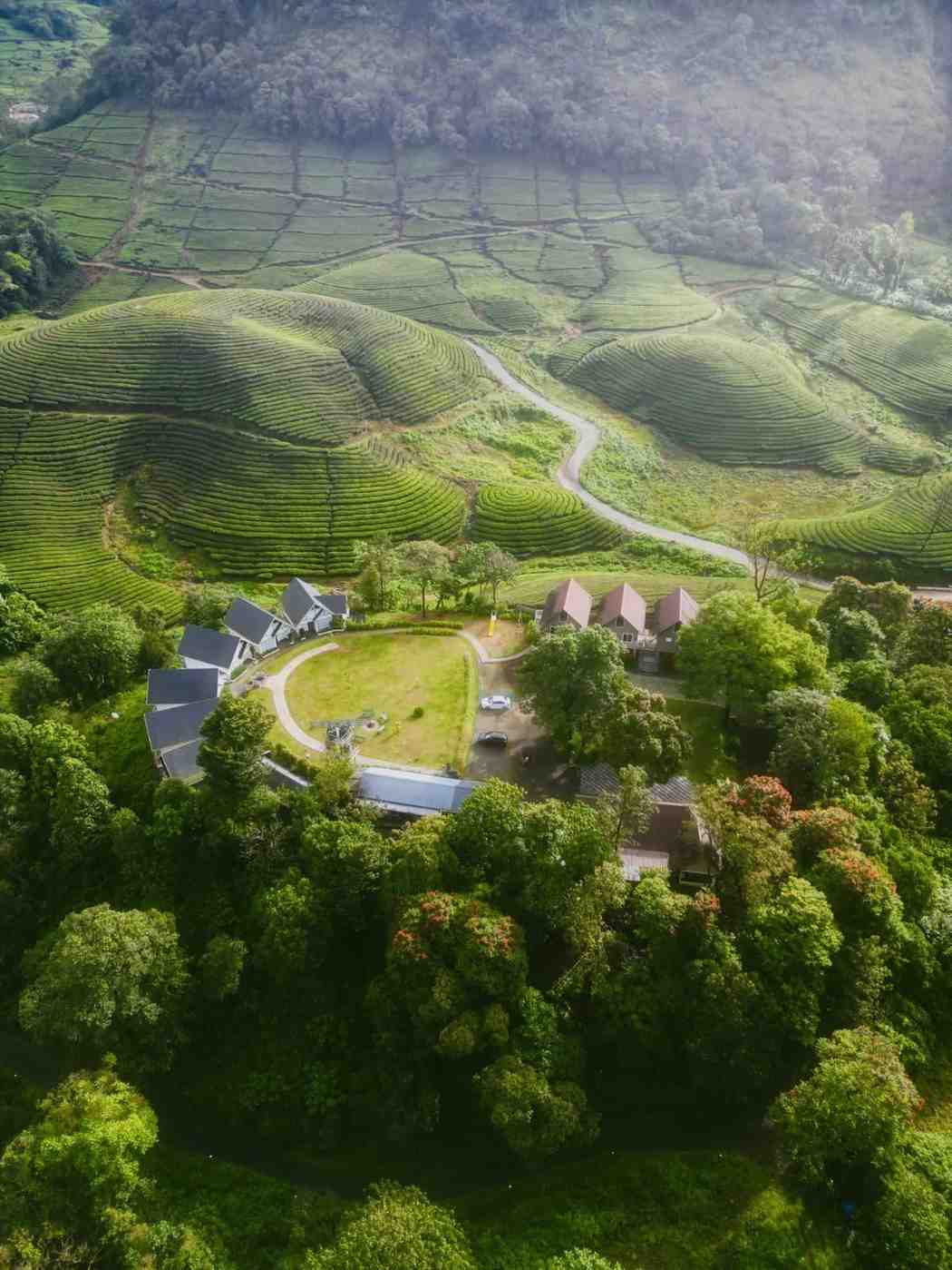 Misty hills & pathways